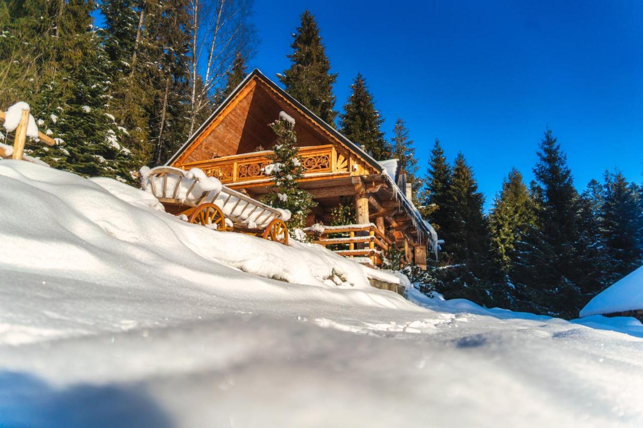 Villa Lesna Bacowka Nowy Targ Esterno foto