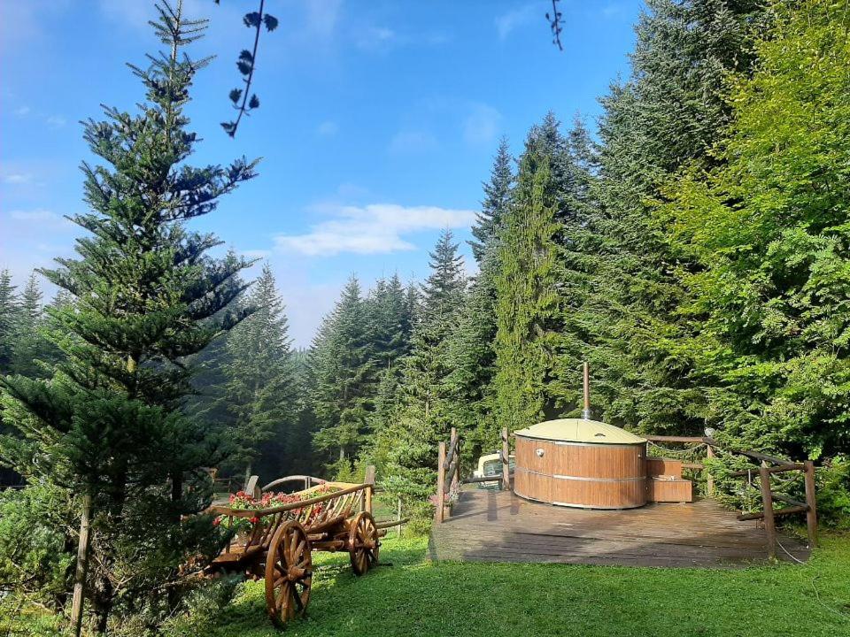 Villa Lesna Bacowka Nowy Targ Esterno foto