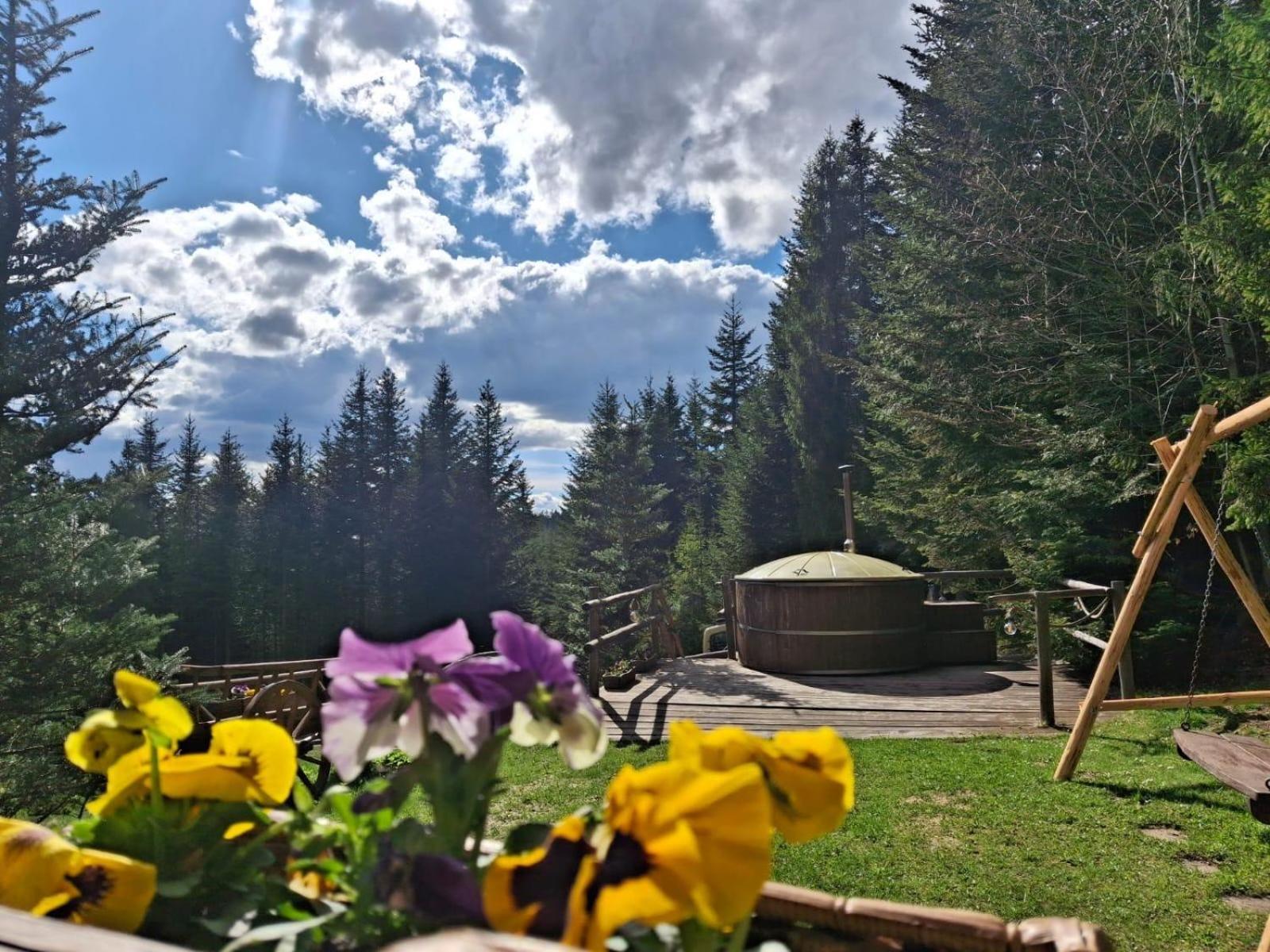 Villa Lesna Bacowka Nowy Targ Esterno foto